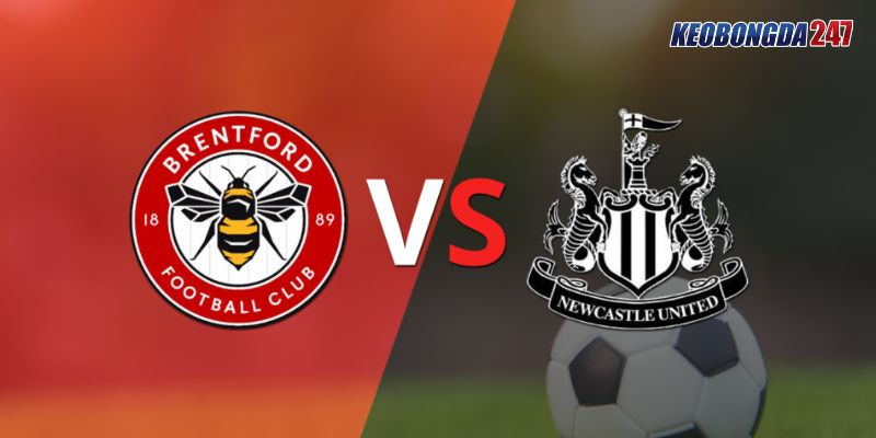 Soi kèo Brentford vs Newcastle United, 22h00 ngày 19/5 - EPL 11 Nhận định trận đấu giữa Brentford vs Newcastle United chi tiết nhất