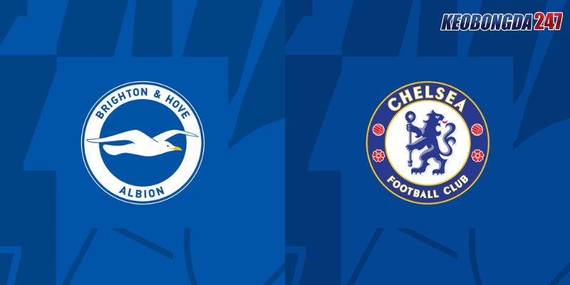 Soi kèo Brighton & Hove vs Chelsea, 01h45 ngày 16/5 - EPL 11 Nhận định trận đấu giữa Brighton & Hove vs Chelsea chi tiết nhất