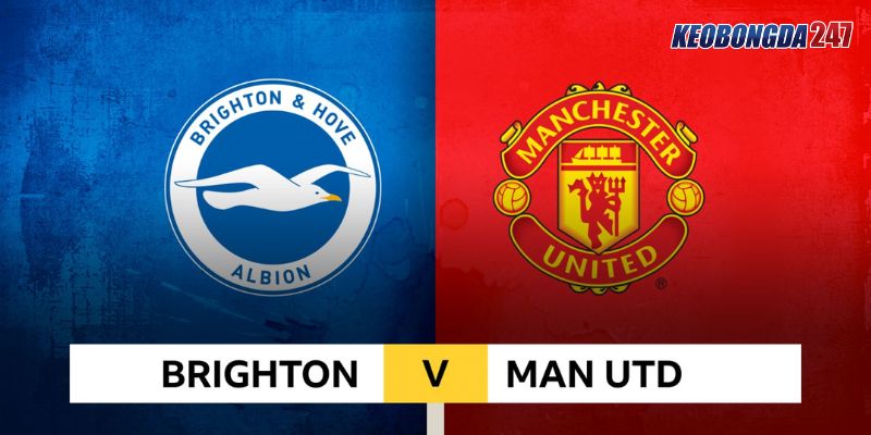 Soi kèo Brighton & Hove vs Manchester United, 22h00 ngày 19/5 - EPL 11 Nhận định trận đấu giữa Brighton & Hove vs Manchester United chi tiết nhất