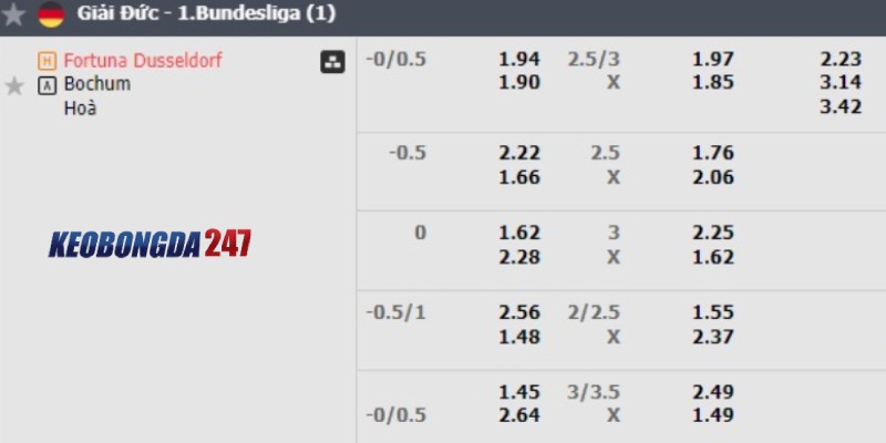 Soi kèo Fortuna Dusseldorf vs Bochum, 01h30 ngày 28/5 - Play-off Bundesliga 10 Bảng kèo Fortuna Dusseldorf vs Bochum