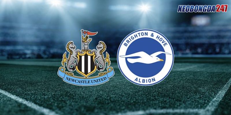 Soi kèo Newcastle United vs Brighton & Hove, 21h00 ngày 11/5 - Vòng 37 EPL 11 Nhận định trận đấu giữa Newcastle United vs Brighton & Hove chi tiết nhất