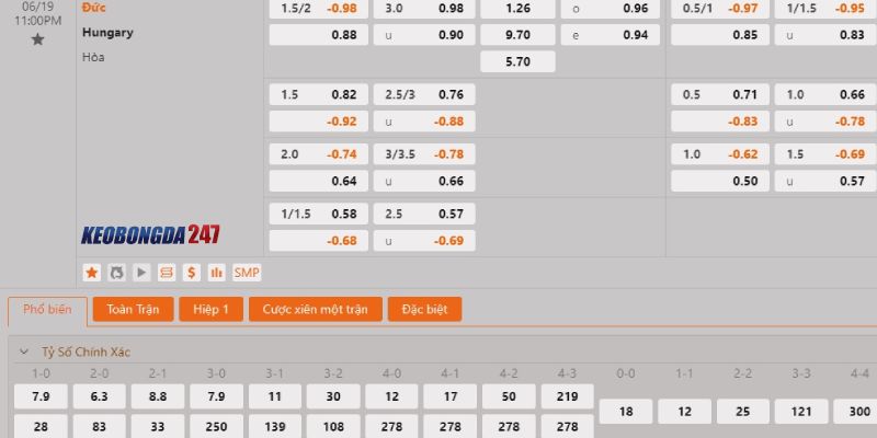 Soi kèo Đức vs Hungary, 23h00 ngày 19/6 - Euro 2024 10 Bảng kèo Đức vs Hungary