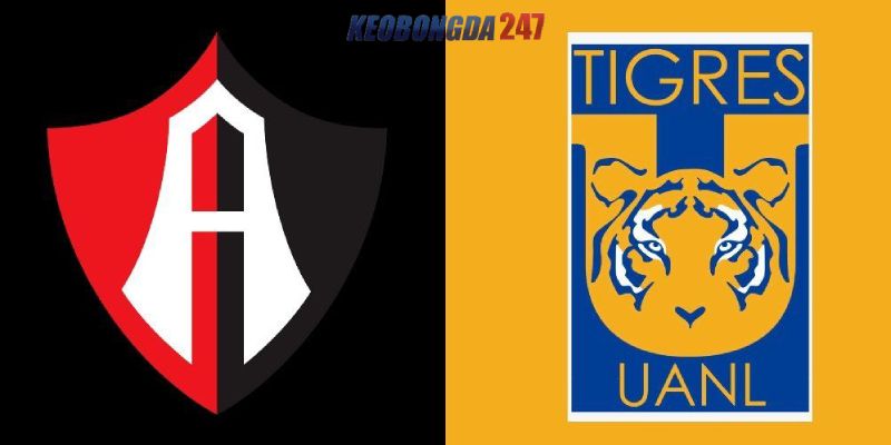 Soi kèo Atlas vs Tigres, 10h05 ngày 13/7 - VĐQG Mexico 2024/25 11 Nhận định trận đấu Atlas vs Tigres chi tiết nhất