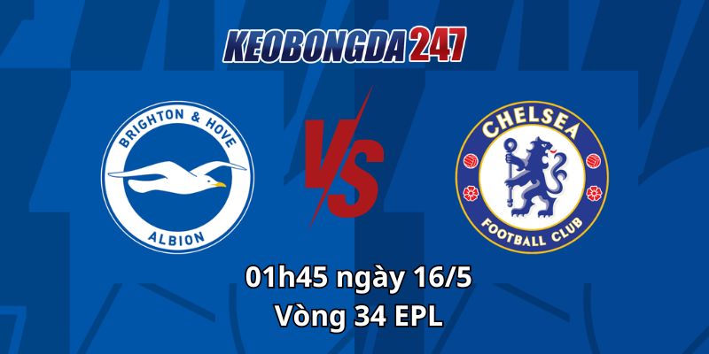 Soi kèo Brighton & Hove vs Chelsea, 01h45 ngày 16/5 - EPL 3 Soi kèo Brighton & Hove vs Chelsea, 01h45 ngày 16/5 - EPL