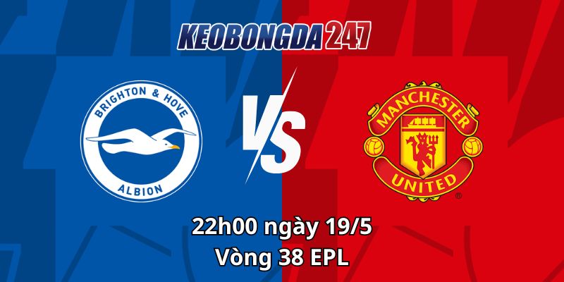Soi kèo Brighton & Hove vs Manchester United, 22h00 ngày 19/5 - EPL 5 Soi kèo Brighton & Hove vs Manchester United, 22h00 ngày 19/5 - EPL
